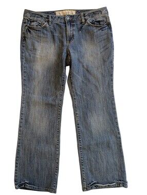 Loft Boot Cut Jeans 12 Petite